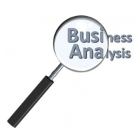 Business Analyst 